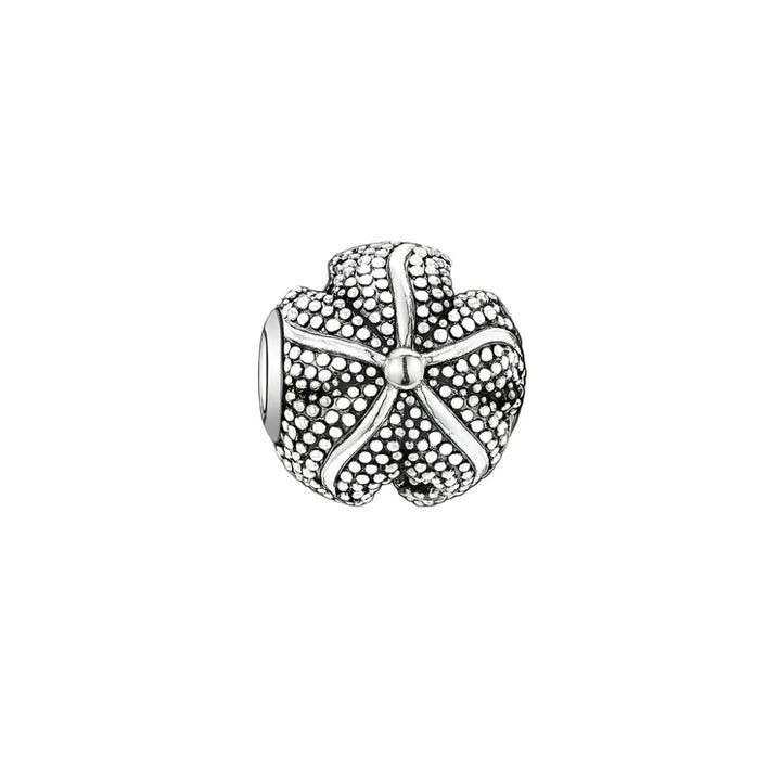 Charm Étoile de mer - Maison Perle