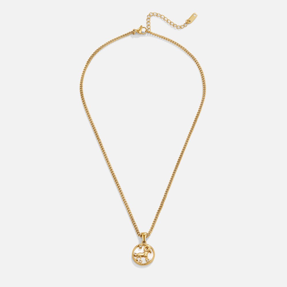 Collier so zodiakálnou mincou z bielej mušle