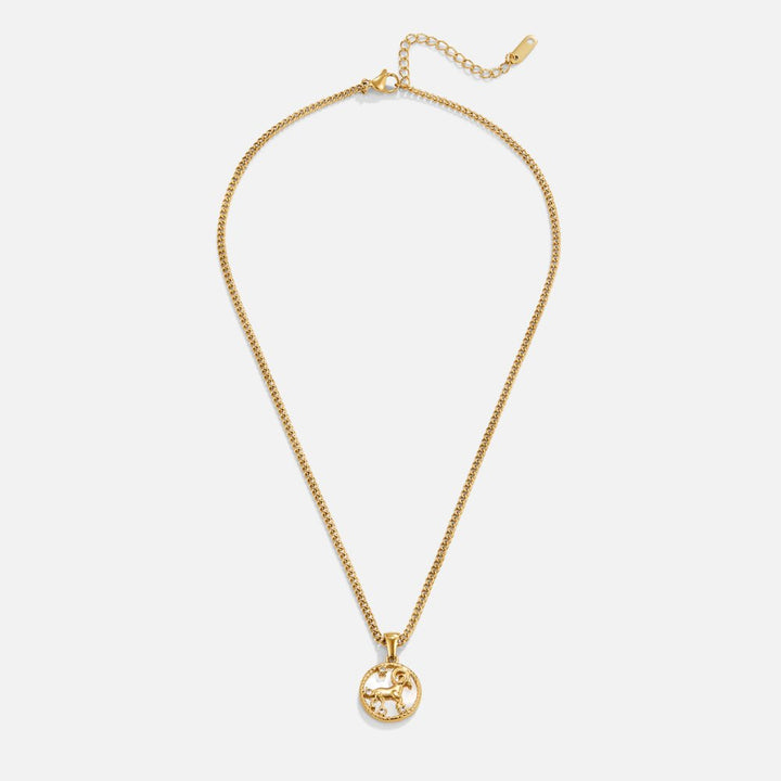 Collier so zodiakálnou mincou z bielej mušle